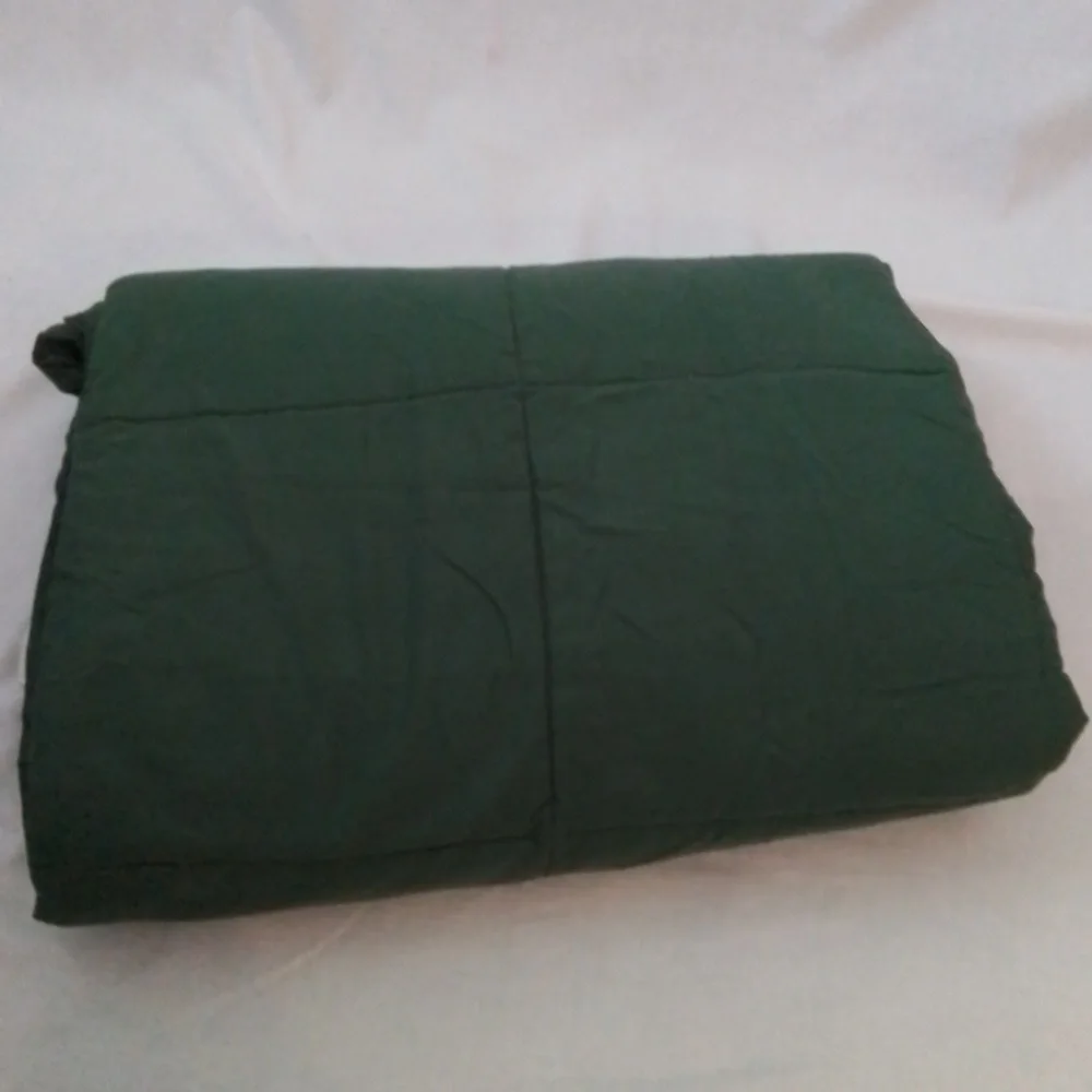 Brylane Home Twin Green Comforter and Bedskirt Set